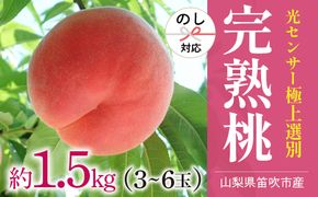 ＜25年発送先行予約＞笛吹市産こだわりの桃 約1.5kg(3～6玉) 常温 090-012