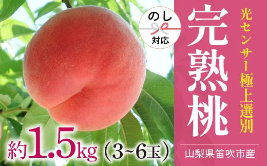 ＜2024年先行予約＞笛吹市産こだわりの桃 約1.5kg(3～6玉) 常温 090-012