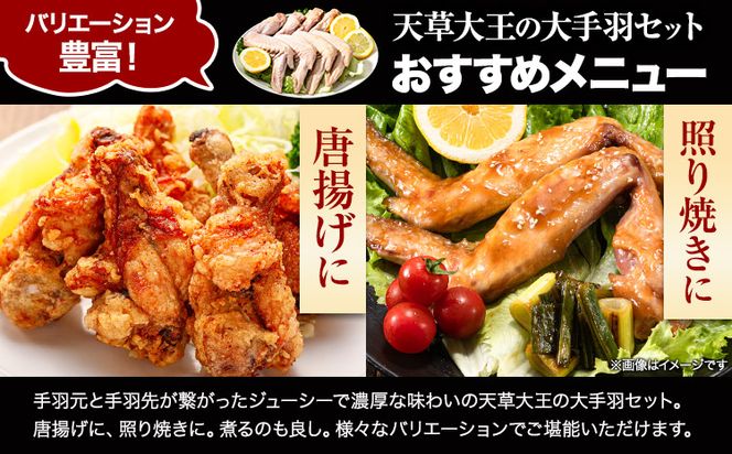 【幻の地鶏】天草大王大手羽セット ４本入り 約650g以上 大海水産株式会社《45日以内に出荷予定(土日祝除く)》熊本県 長洲町 地鶏 チキン 鶏肉 手羽先 手羽元 大手羽 照り焼き 冷凍 送料無料---sn_fadotb_45d_r8_12000_650g---