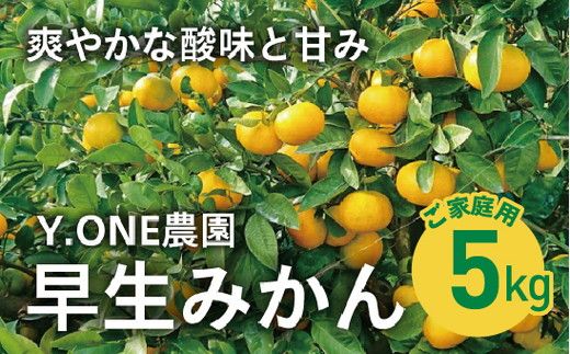 【先行受付】【数量限定】【家庭用】早生みかん（生果）5kg｜柑橘 みかん 温州みかん ミカン 蜜柑 果物 フルーツ 愛媛県産 ※2024年11月上旬～12月上旬頃に順次発送予定