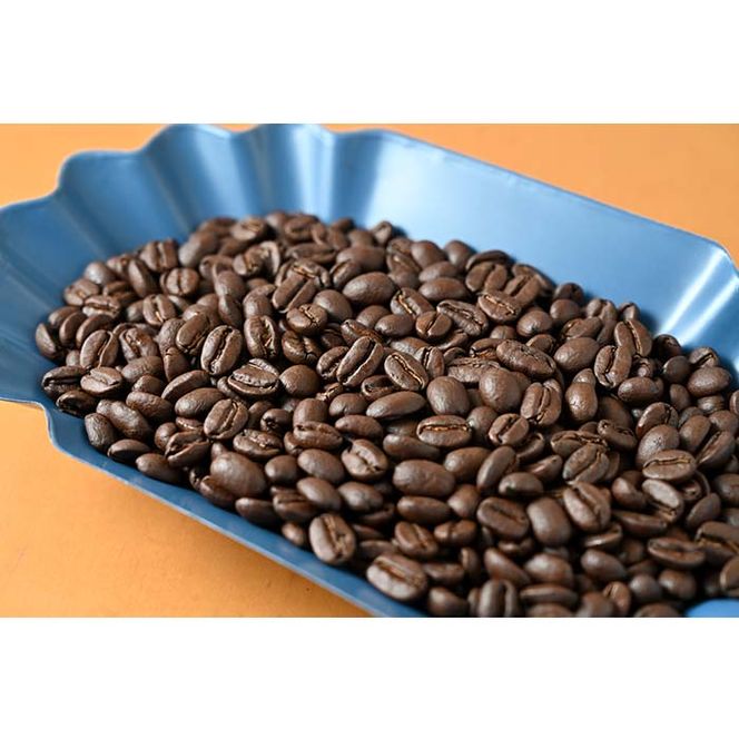 C-11 カフェ・フランドル厳選コーヒー豆　ニカラグア産(200g×1)ペルー産(200g×1)挽いた豆