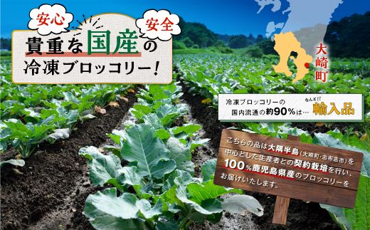 鹿児島県産　冷凍ブロッコリー　200g×8パック【BZ003】