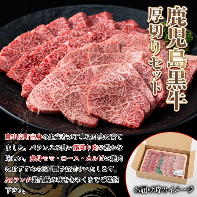 0261715a】鹿児島県産黒毛和牛！A5極上焼肉(赤身(モモ)・ロース