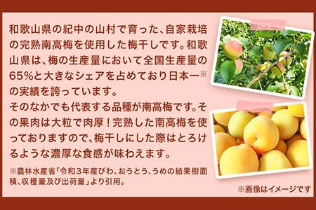 紀州南高梅使用れーずん入り完熟梅干し 800g 厳選館 《90日以内に出荷予定(土日祝除く)》 和歌山県 日高川町 紀州南高梅 れーずん レーズン 梅干し---wshg_tmt184_90d_24_14000_1p---