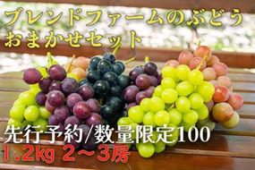 【先行予約】ブレンドファームのぶどういろいろおまかせセット（2025年8月下旬～発送） BF00012