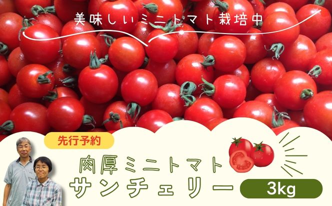 【 先行予約 】 ミニトマト サンチェリー 3kg 7月発送 大容量 トマト プチトマト 新鮮 野菜 農家直送 3キロ おすすめ おいしい ギフト 贈答 プレゼント 福島県 田村市 田村 よしのや農園 N61-V7-01