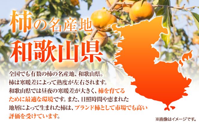 ＊先行予約＊和歌山 秋の味覚 富有柿 約7.5kg 株式会社魚鶴商店《2024年11月上旬-12月上旬頃出荷》和歌山県 日高町 柿 富有柿 フルーツ---wsh_utshk_ad11_22_21000_7500g---