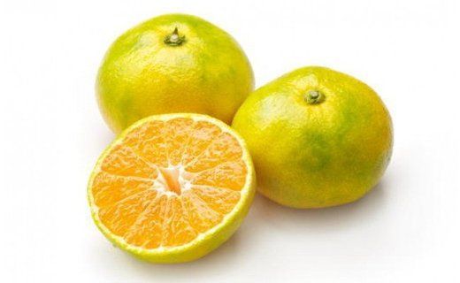 ［極早生みかんの逸品］有田産ゆら早生みかん約5kg★2026年10月中旬頃より順次発送 BZ045