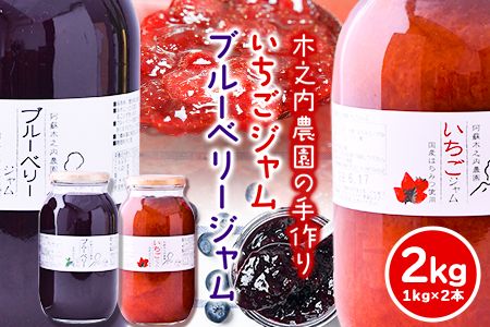 [ふるさと納税]果実ぎっしり!木之内農園の手作りいちごジャムとブルーベリージャム 2kg(1kg×2本)[30日以内に出荷予定(土日祝を除く)] 熊本県南阿蘇村 イチゴ 苺 減農薬 大粒 ブルーベリー 乗せるジャム---isms_kinonstbb_30d_r7_15500_2kg---