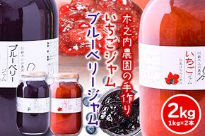 【ふるさと納税】果実ぎっしり！木之内農園の手作りいちごジャムとブルーベリージャム　2kg（1kg×2本）《30日以内に出荷予定(土日祝を除く)》 熊本県南阿蘇村 イチゴ 苺 減農薬 大粒 ブルーベリー 乗せるジャム---isms_kinonstbb_30d_r7_15500_2kg---