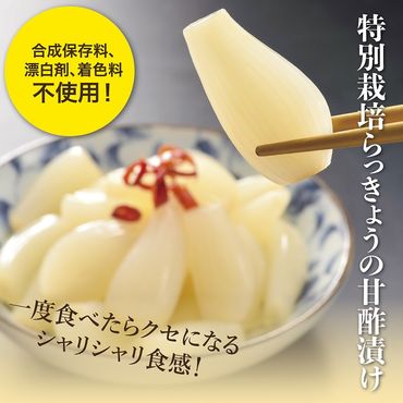 0057 特別栽培らっきょうの甘酢漬(8袋セット)