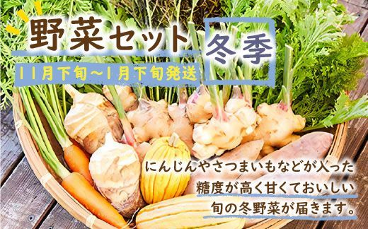 SORA農園有機野菜セット年2回（夏季・冬季）お届け　SN00004