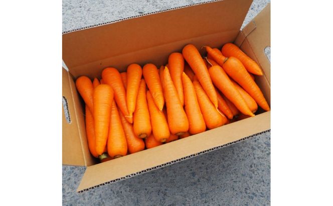 【予約：2026年8月下旬から順次発送】原谷農園の抗酸化にんじん 3kg ( 野菜 人参 農園 期間限定 ふるさと納税 )【058-0006-2026】