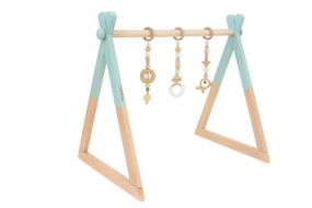 NE-6 HOPPL（ホップル）　ベビージムセット（シーグリーン）・ハンギングトイ（グリーン）