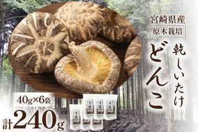 宮崎県産 原木栽培 乾しいたけ どんこ 40g 6袋 計240g [本吉 宮崎県 日向市 452061461] しいたけ 椎茸 乾燥 干し 国産