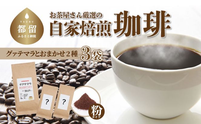 yRsszFI001@񌵑I̎R[q[3܁iOAe} 1/C2/j