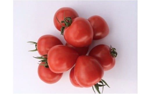 【2026年度予約分】【お試し】甘さ抜群!トマト嫌いでも食べられるトマトベリー 約700g（1月～4月発送） H004-125