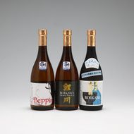 鯉川酒造 純米大吟醸 辛口飲み比べセット（720ml×3本）【545-045B】