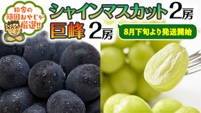 シャインマスカット 2房 ・ 巨峰 2房 セット【8月下旬より発送開始】田舎の頑固おやじが厳選！ [BI114-NT]