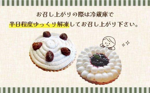 【2026年1月～発送】【舌にあふれる季節感♪こだわりのサクサクタルト】BBフロマージュ・モンブランタルト 2種 セット / タルト モンブラン ブルーベリー 南島原市 / アトリエジジ [SAA014] 