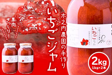 果実ぎっしり!木之内農園の手作りいちごジャム 2kg(1kg×2本)[30日以内に出荷予定(土日祝を除く)] 熊本県南阿蘇村 イチゴ 苺 減農薬 大粒---isms_kinonsb_30d_24_16000_2kg---