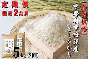 【定期便2か月】特別栽培 京都府京丹後市産こしひかり 岡田さんが美味しく育てた京丹後米 5kg×2か月　NC00005