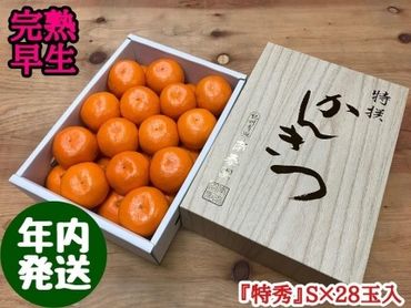 年内発送 完熟早生 有田みかん 化粧小箱 特秀 S サイズ 28玉入 和歌山 南泰園 BS637