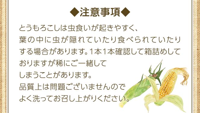 朝採り 農家直送 とうもろこし 6kg 「 おおもの 」【 先行予約2026年7月中旬以降発送】 トウモロコシ スイートコーン コーン 野菜 大粒 大きい 新鮮 甘い 高糖度 サラダ 八千代町産 茨城県産 産地直送  [AX027ya]