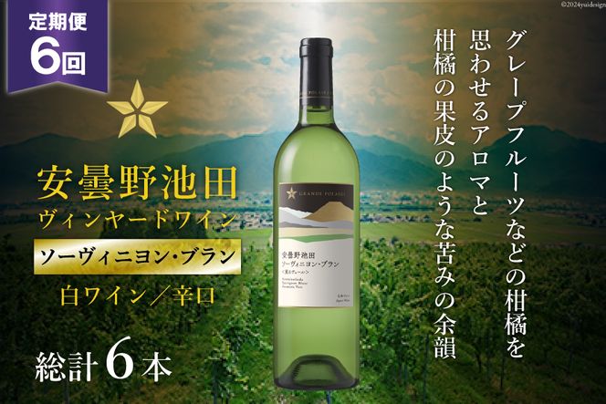 6回 定期便 白ワイン サッポロ グランポレール 安曇野池田ヴィンヤード「ソーヴィニヨン・ブラン」750ml 総計6本 [池田町ハーブセンター 長野県 池田町 48110616] 白 ワイン 辛口 お酒 酒