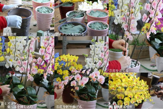 綺麗で丈夫な三河陶器で贈る 光触媒胡蝶蘭小輪３本立（白の陶器×白桃色の花） H100-083