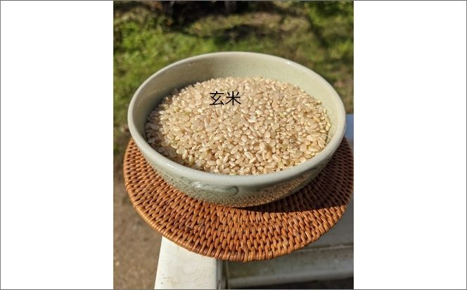 【先行予約】特別栽培米　令和6年産　丹後こしひかり　玄米30Kg　KU00036