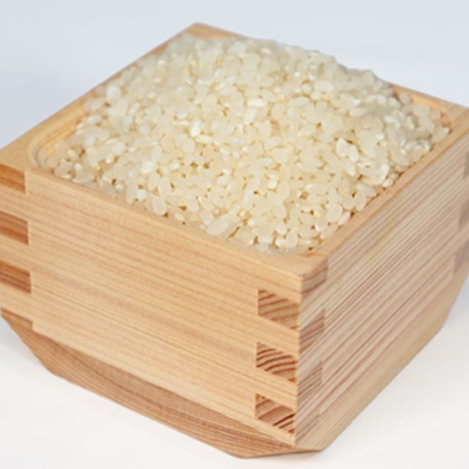 BE-8a T rice Store 岐阜県産コシヒカリ（玄米） 約30kg(5kg×6回）