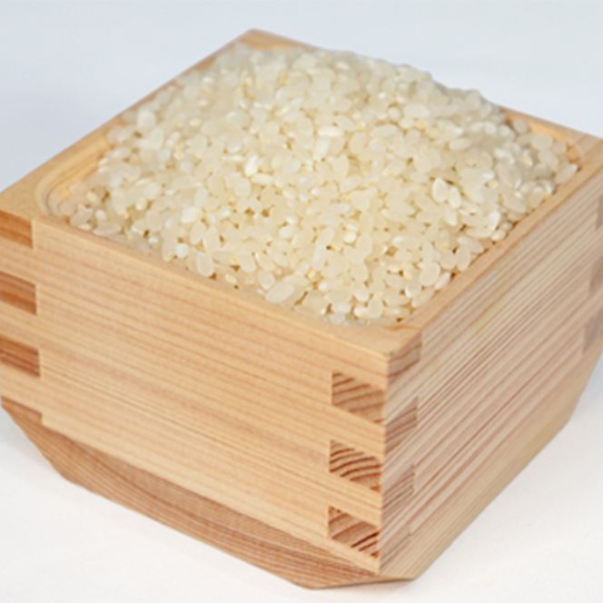 BE-8b-R7 T rice Store 岐阜県産コシヒカリ（玄米） 約30kg(5kg×6回）