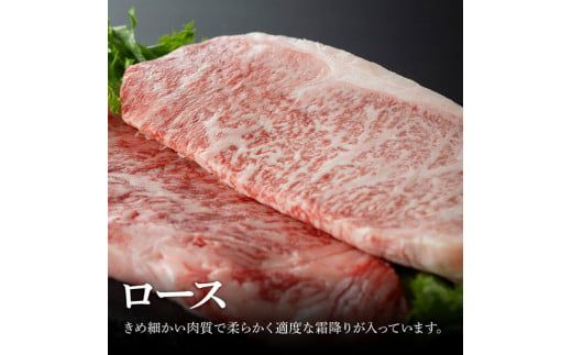 宮崎牛ロースステーキ400ｇ（200g×2枚） 【 肉 牛肉 A4～A5等級 宮崎牛 BBQ アウトドア ロースステーキ 焼肉 】 [E11002]