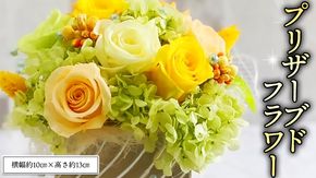 プリザーブドフラワーS プリザーブドフラワー インテリア [CT032ci]