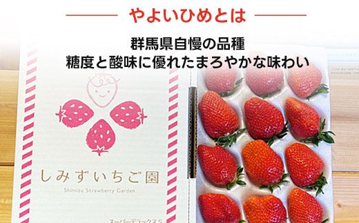 群馬県産いちご「やよいひめ」約800g×2箱　贈答用化粧箱入り ANV003