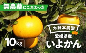 【栽培期間中農薬不使用】【先行受付】【数量限定】農園直送！愛媛県産 いよかん 10kg ｜ 柑橘 みかん ミカン 蜜柑 フルーツ 果物 ギフト 贈り物 栽培期間 無農薬 愛媛県産　※2024年12月下旬～2025年2月下旬頃に順次発送予定