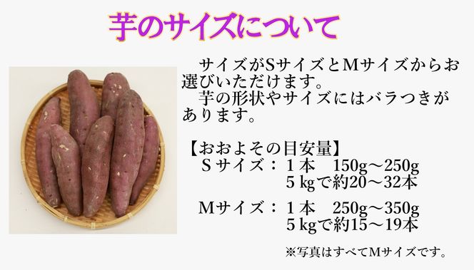 超熟成蜜芋「こいもあまいも」シルクスイート Mサイズ 合計5㎏（10-83