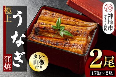 【職人手焼き】国産特大うなぎ蒲焼2尾（1尾あたり約170g前後）(H097113)