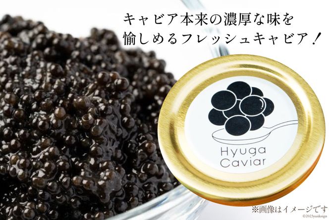 キャビア 日向キャビア (Hyuga Caviar) 20g 箱なし [ウィズ・クリエイティブ 宮崎県 日向市 452060891] 冷凍 宮崎 国産 チョウザメ フレッシュ 瓶