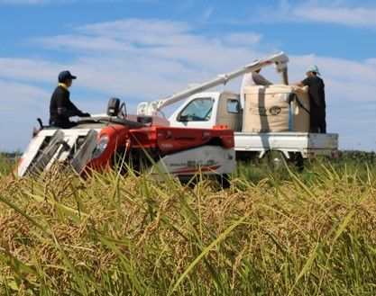 [A003] 能登こしひかり　のと米　精米５kg