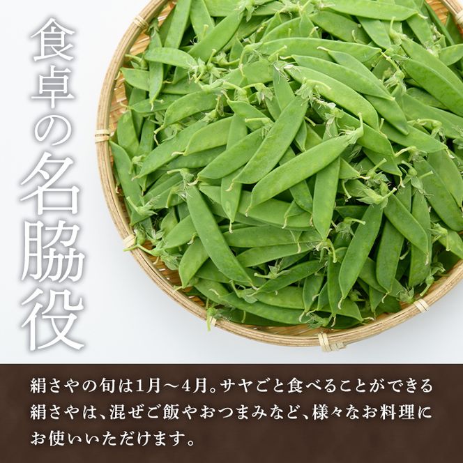 ＜先行予約受付中！2026年1月以降順次発送予定＞ご家庭用！訳あり！「絹さや」(1kg) 旬 国産 豆 マメ 絹さや 絹サヤ きぬさや 野菜 セット 詰め合わせ 訳アリ 数量限定 期間限定【黒坂青果】akn049-04