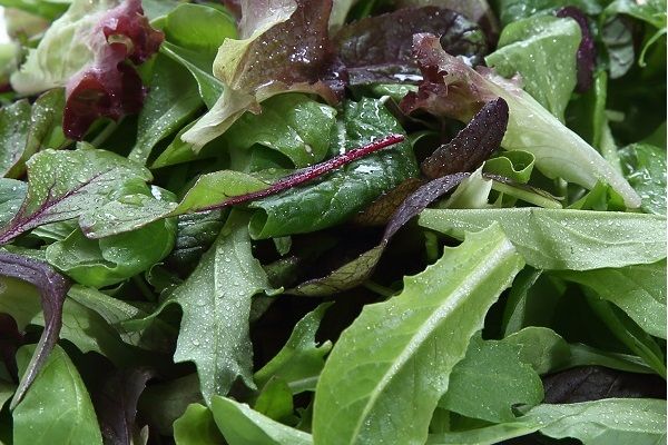 yR`cSzYxr[[t~bNX@40g×8