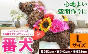 フレグランスフラワー＆光触媒エコフラワー 番犬くん Lサイズ フローリスト萬 《45日以内に出荷予定(土日祝除く)》岡山県 笠岡市 送料無料 母の日 プレゼント アレンジフラワー 枯れない---C-37---