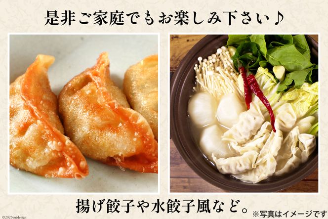 【AH019】 焼くだけ！一か月に1500個売り上げる餃子 45個（15個×3パック）