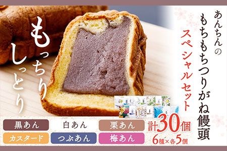 あんちんのもちもちつりがね饅頭 スペシャルセット 全6種×5個 計30個 有限会社あんちん [30日以内に出荷予定(土日祝除く)] 和歌山県 日高川町 まんじゅう 饅頭 和菓子 スイーツ---wshg_antug_30d_22_14000_30c---