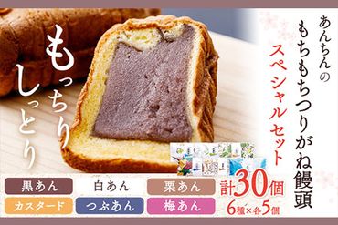 あんちんのもちもちつりがね饅頭 スペシャルセット 全6種×5個 計30個 有限会社あんちん 《30日以内に出荷予定(土日祝除く)》 和歌山県 日高川町 まんじゅう 饅頭 和菓子 スイーツ---wshg_antug_30d_22_14000_30c---