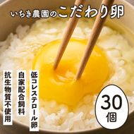 A0-07 いちき農園のこだわり卵(計30個・10個入り×3パック) 自然豊かな伊佐で育てた平飼い鶏の低コレステロール卵！抗生物質不使用！【いちき農園】