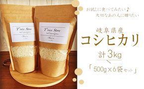 BE-11b T rice Store 岐阜県産 コシヒカリ 3㎏ 精米（500ｇ×6袋）