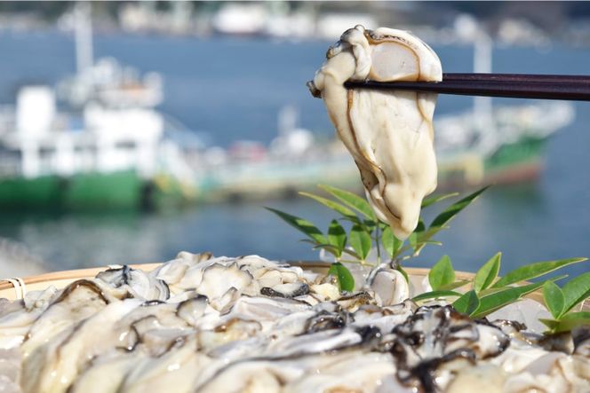 むき身 地秀かき 生食用 500g×2袋 [かみたいら 宮城県 気仙沼市 20564232] カキ 牡蠣 生食 剥き身 オイスター 冷蔵